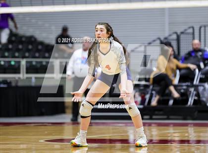 Thumbnail 1 in Brandeis vs. Bridgeland (UIL Volleyball 6A Semifinals) photogallery.