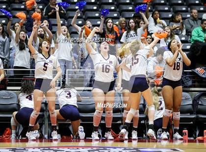 Thumbnail 2 in Brandeis vs. Bridgeland (UIL Volleyball 6A Semifinals) photogallery.