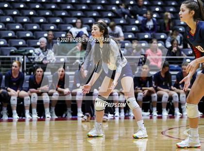 Thumbnail 1 in Brandeis vs. Bridgeland (UIL Volleyball 6A Semifinals) photogallery.