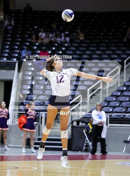 Thumbnail 1 in Brandeis vs. Bridgeland (UIL Volleyball 6A Semifinals) photogallery.