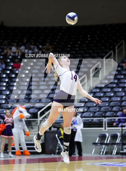 Thumbnail 2 in Brandeis vs. Bridgeland (UIL Volleyball 6A Semifinals) photogallery.