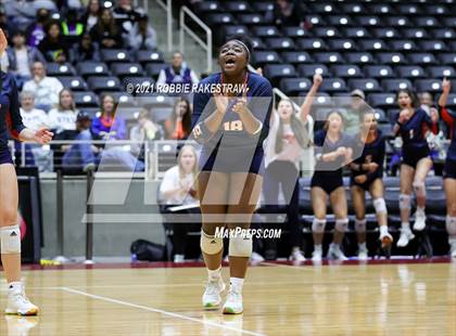 Thumbnail 1 in Brandeis vs. Bridgeland (UIL Volleyball 6A Semifinals) photogallery.