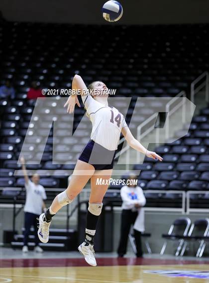 Thumbnail 1 in Brandeis vs. Bridgeland (UIL Volleyball 6A Semifinals) photogallery.