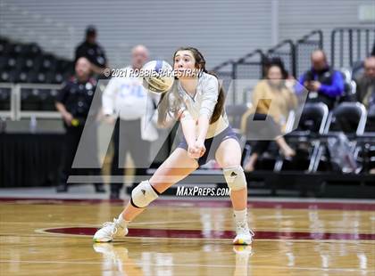 Thumbnail 3 in Brandeis vs. Bridgeland (UIL Volleyball 6A Semifinals) photogallery.