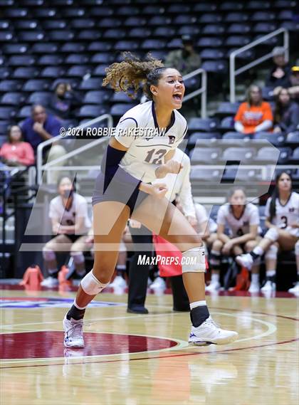 Thumbnail 2 in Brandeis vs. Bridgeland (UIL Volleyball 6A Semifinals) photogallery.