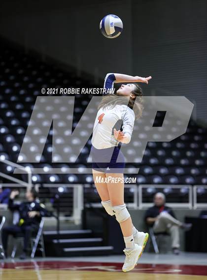 Thumbnail 3 in Brandeis vs. Bridgeland (UIL Volleyball 6A Semifinals) photogallery.
