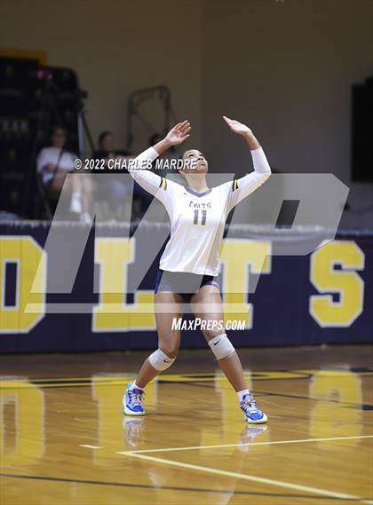 Thumbnail 1 in Midway @ Cape Fear photogallery.