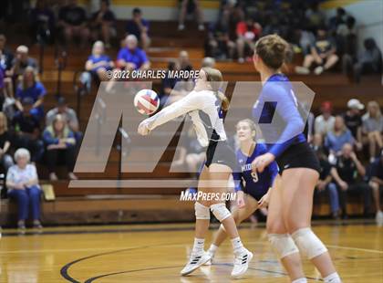 Thumbnail 3 in Midway @ Cape Fear photogallery.