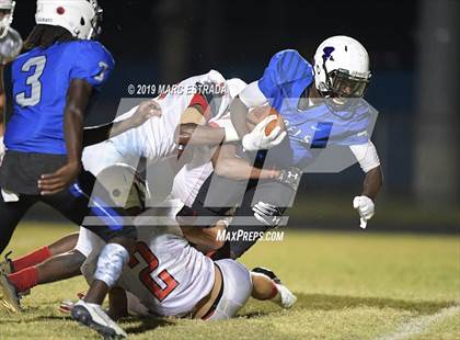 Thumbnail 1 in Northeast @ Dixie Hollins photogallery.