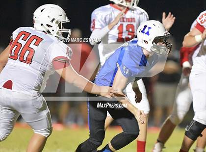 Thumbnail 2 in Northeast @ Dixie Hollins photogallery.