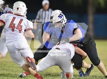 Thumbnail 2 in Northeast @ Dixie Hollins photogallery.