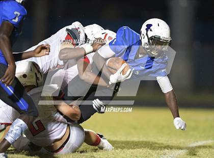 Thumbnail 2 in Northeast @ Dixie Hollins photogallery.