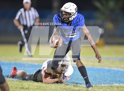Thumbnail 1 in Northeast @ Dixie Hollins photogallery.