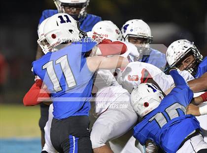 Thumbnail 1 in Northeast @ Dixie Hollins photogallery.