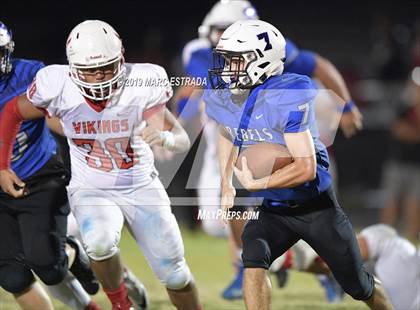 Thumbnail 1 in Northeast @ Dixie Hollins photogallery.