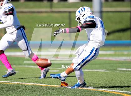 Thumbnail 1 in Barringer @ Millburn photogallery.