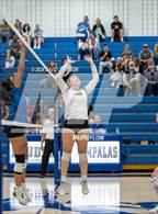 Photo from the gallery "Rocky Mountain @ Poudre"