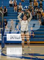 Photo from the gallery "Rocky Mountain @ Poudre"