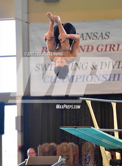 Thumbnail 2 in AAA Championship Dive Meet photogallery.