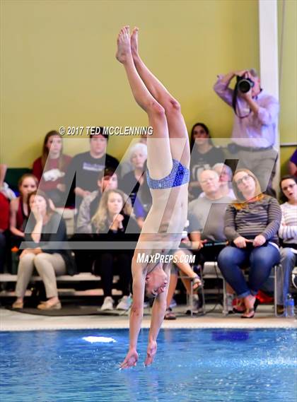 Thumbnail 2 in AAA Championship Dive Meet photogallery.