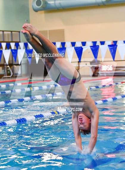 Thumbnail 1 in AAA Championship Dive Meet photogallery.