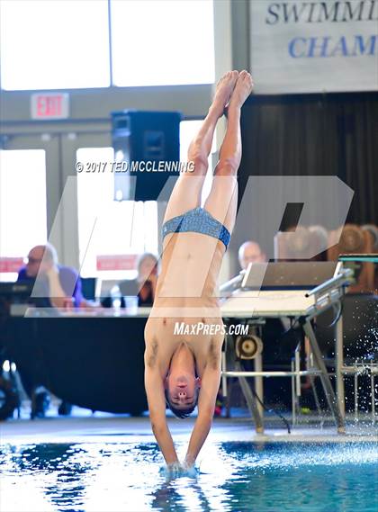 Thumbnail 2 in AAA Championship Dive Meet photogallery.