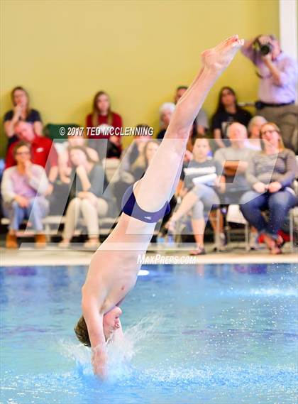 Thumbnail 3 in AAA Championship Dive Meet photogallery.
