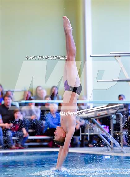 Thumbnail 1 in AAA Championship Dive Meet photogallery.