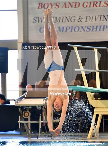 Thumbnail 3 in AAA Championship Dive Meet photogallery.