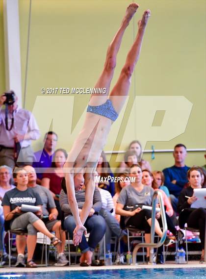 Thumbnail 3 in AAA Championship Dive Meet photogallery.