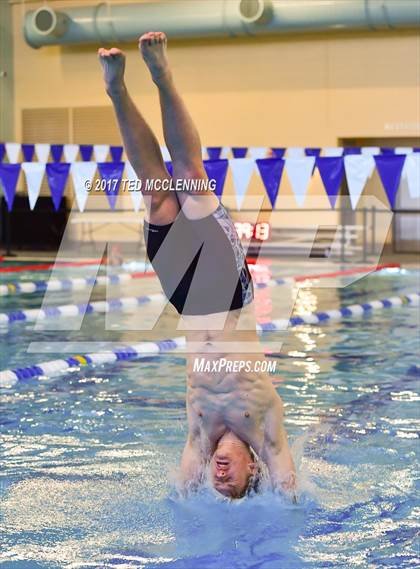 Thumbnail 2 in AAA Championship Dive Meet photogallery.