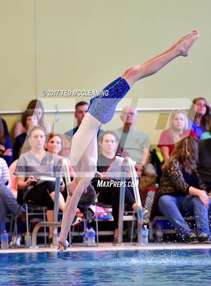 Thumbnail 1 in AAA Championship Dive Meet photogallery.