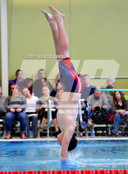 Thumbnail 3 in AAA Championship Dive Meet photogallery.