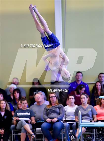 Thumbnail 1 in AAA Championship Dive Meet photogallery.