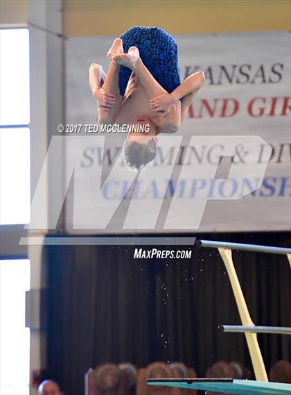 Thumbnail 1 in AAA Championship Dive Meet photogallery.