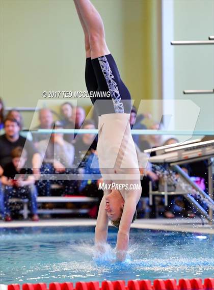 Thumbnail 3 in AAA Championship Dive Meet photogallery.