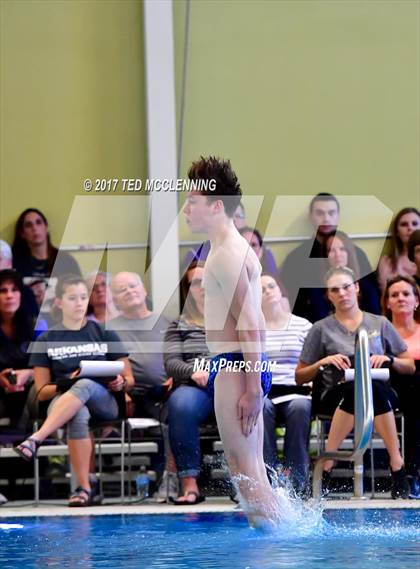 Thumbnail 1 in AAA Championship Dive Meet photogallery.