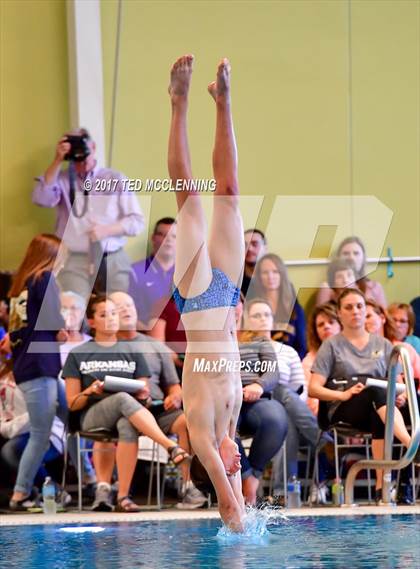 Thumbnail 1 in AAA Championship Dive Meet photogallery.