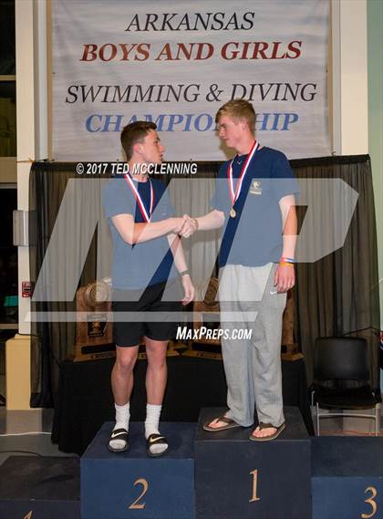 Thumbnail 1 in AAA Championship Dive Meet photogallery.