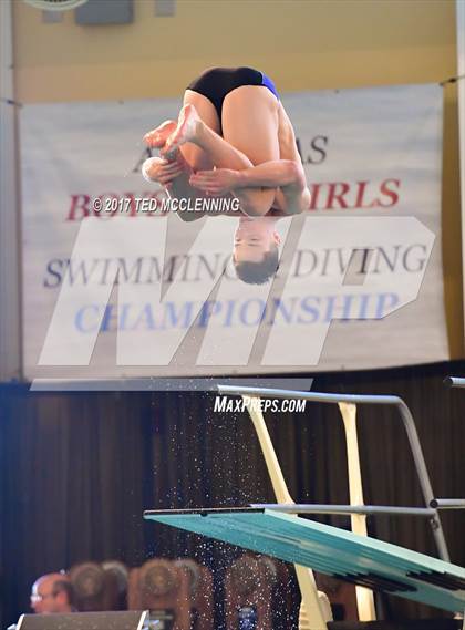 Thumbnail 3 in AAA Championship Dive Meet photogallery.