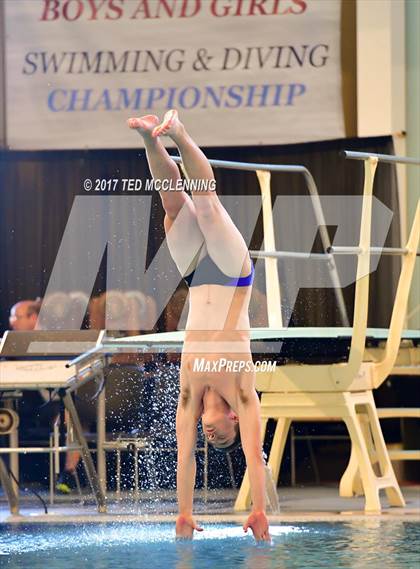 Thumbnail 1 in AAA Championship Dive Meet photogallery.