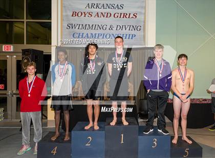 Thumbnail 2 in AAA Championship Dive Meet photogallery.
