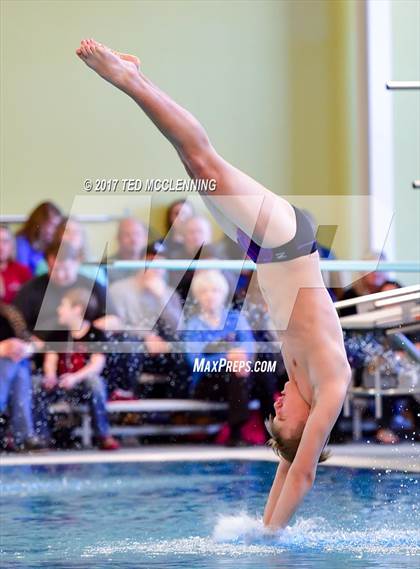 Thumbnail 3 in AAA Championship Dive Meet photogallery.