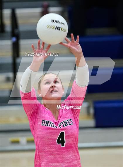 Thumbnail 2 in Southern Lee @ Union Pines photogallery.