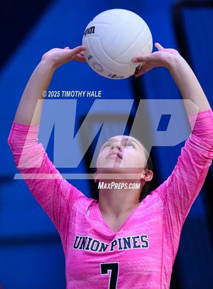 Thumbnail 1 in Southern Lee @ Union Pines photogallery.