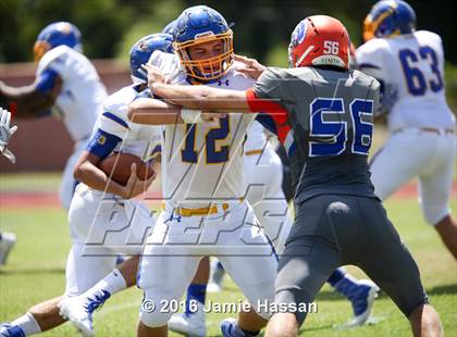 Thumbnail 2 in Wren @ James Island  photogallery.