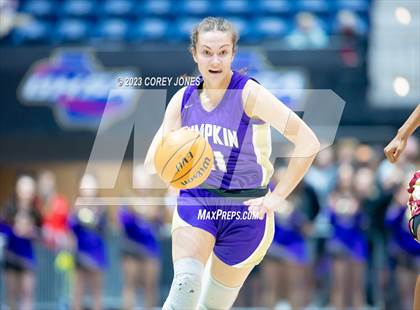 Thumbnail 3 in Lumpkin County vs Hebron Christian Academy (GHSA 3A State Championship) photogallery.
