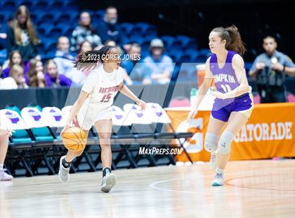 Thumbnail 3 in Lumpkin County vs Hebron Christian Academy (GHSA 3A State Championship) photogallery.
