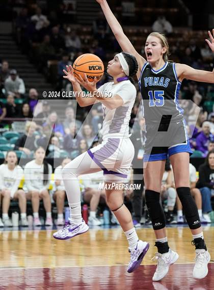 Thumbnail 2 in Peak to Peak vs Holy Family (CHSAA 4A Great 8) photogallery.