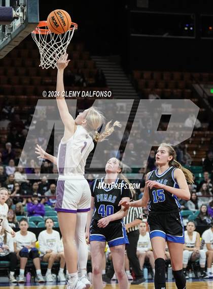 Thumbnail 1 in Peak to Peak vs Holy Family (CHSAA 4A Great 8) photogallery.